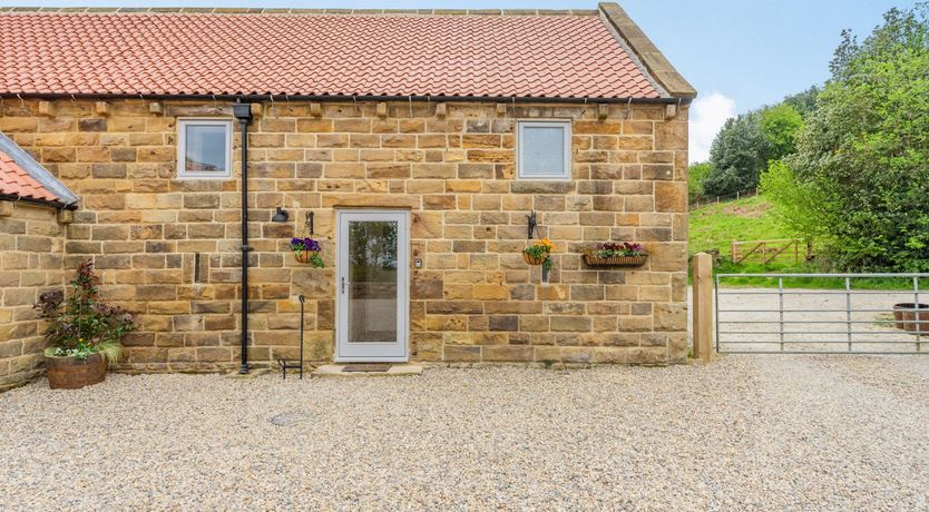 Photo of Meadowsweet