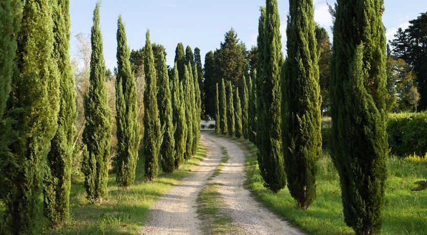 Photo of Palazzo of Dreams