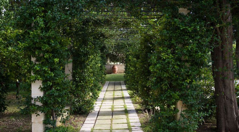 Photo of Palazzo of Dreams