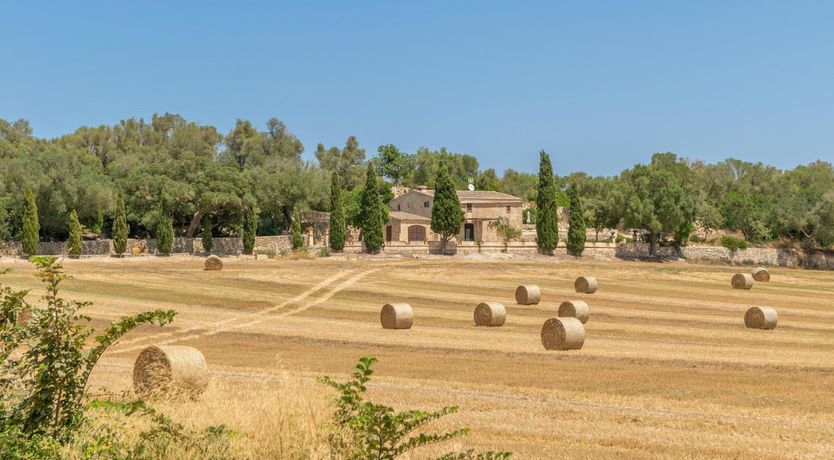 Photo of Emerald Waters