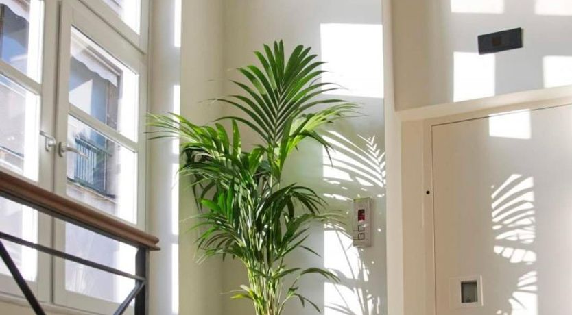 Photo of Acropolis Rise