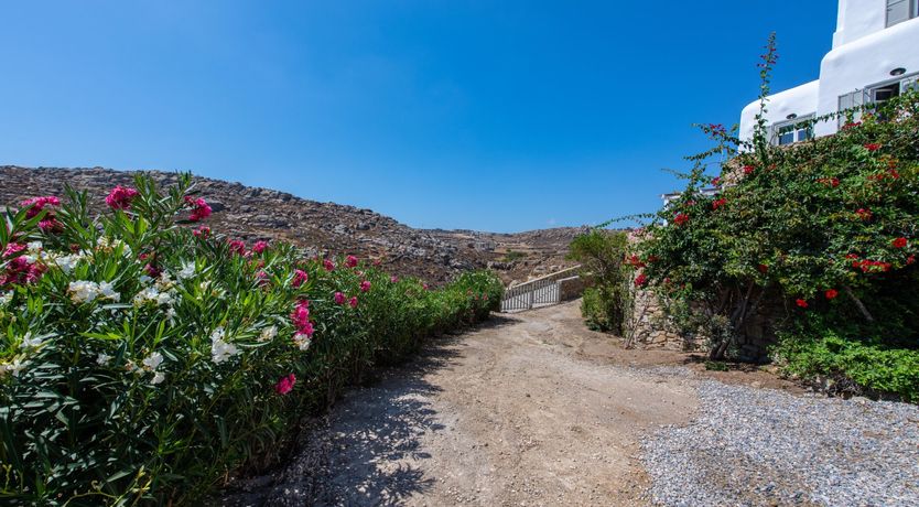 Photo of Cycladic Culture