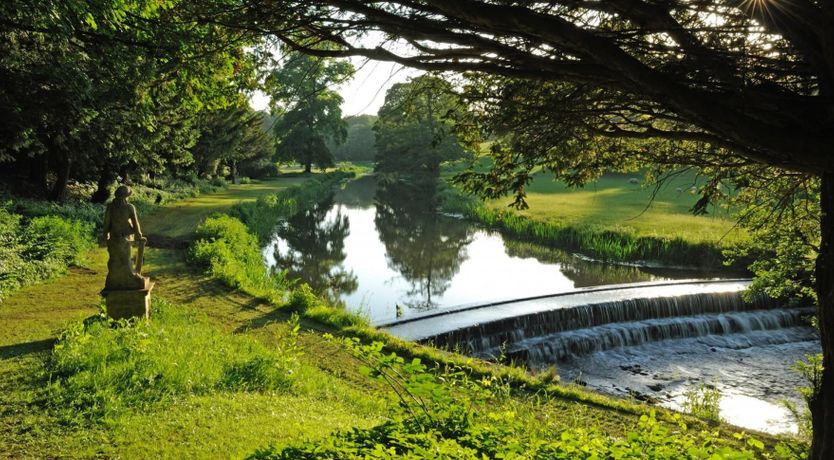 Photo of Rewild At Heart