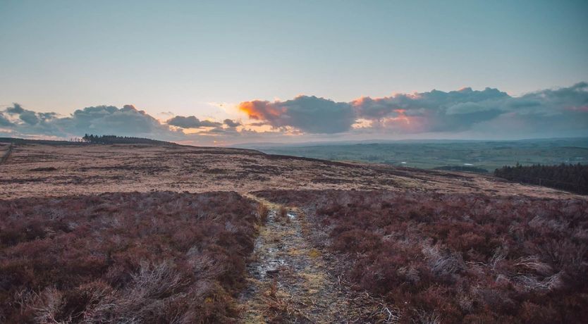 Photo of Rewild At Heart