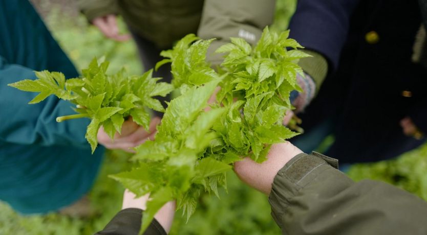 Photo of Rewild At Heart