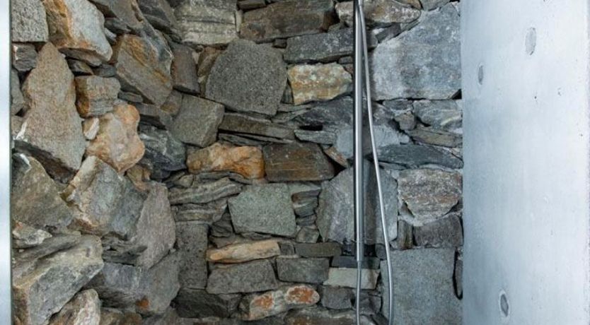 Photo of Donkey's Ears