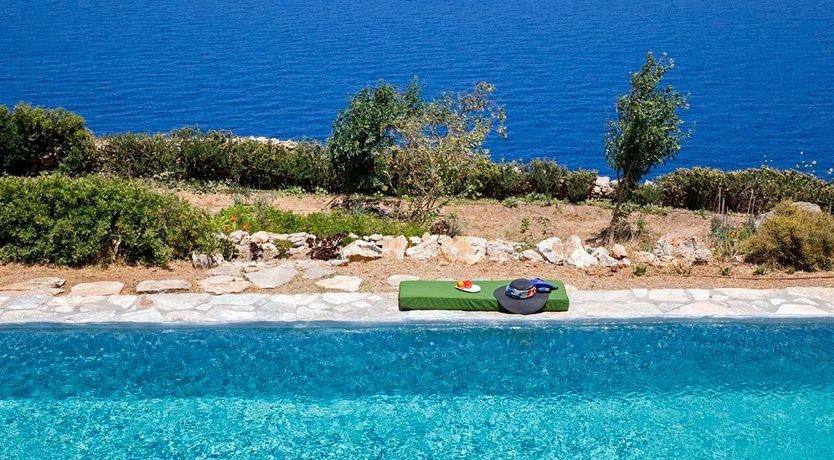 Photo of Donkey's Ears