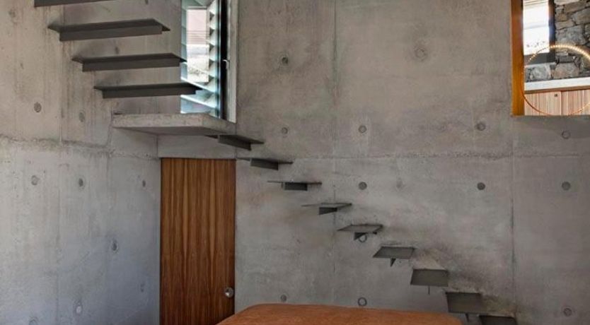 Photo of Donkey's Ears