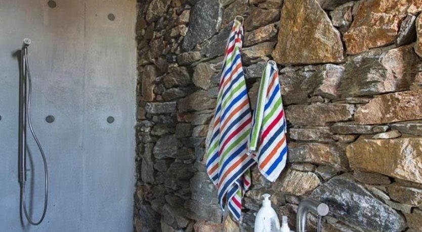 Photo of Donkey's Ears