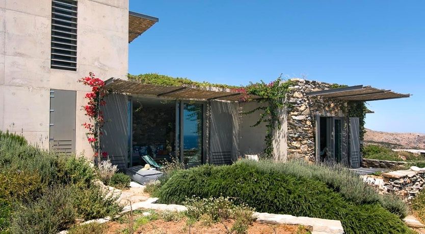 Photo of Donkey's Ears