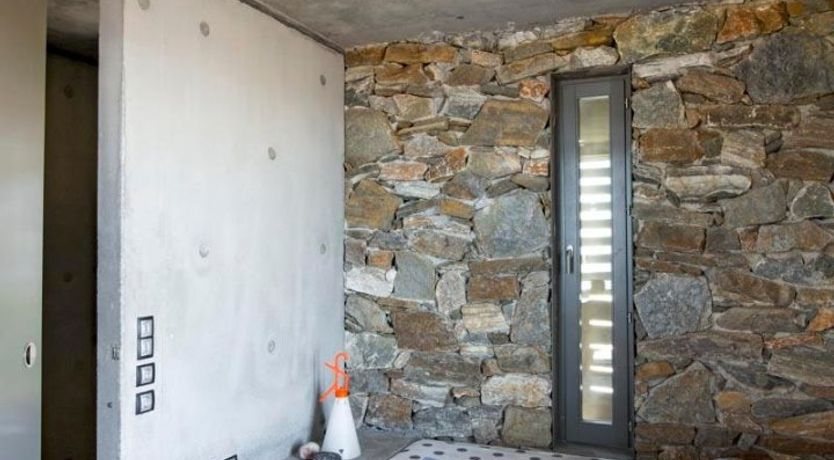 Photo of Donkey's Ears