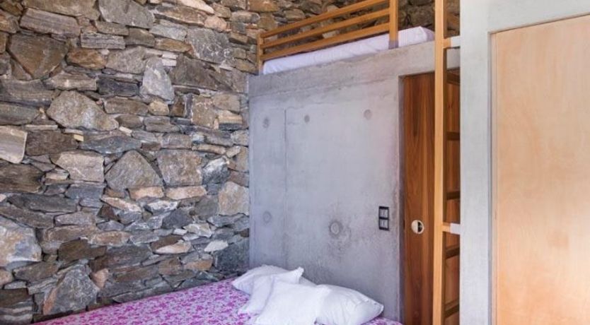 Photo of Donkey's Ears