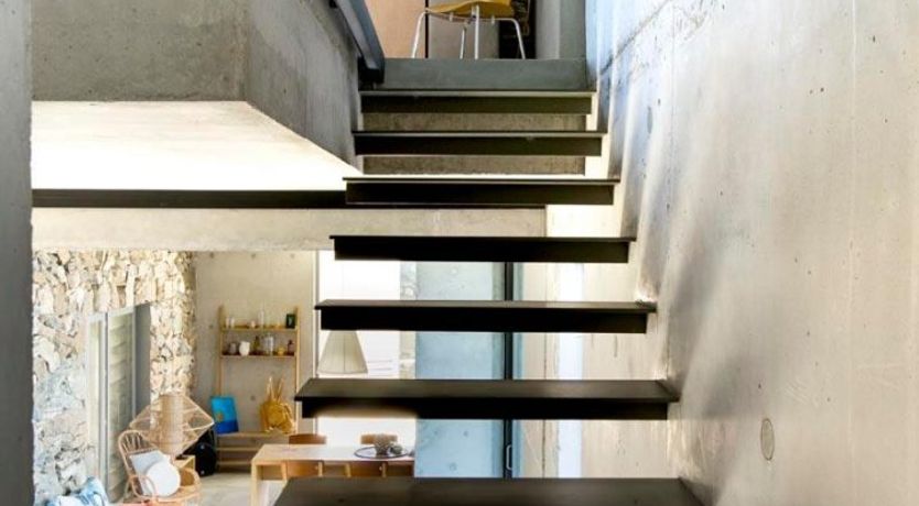 Photo of Donkey's Ears