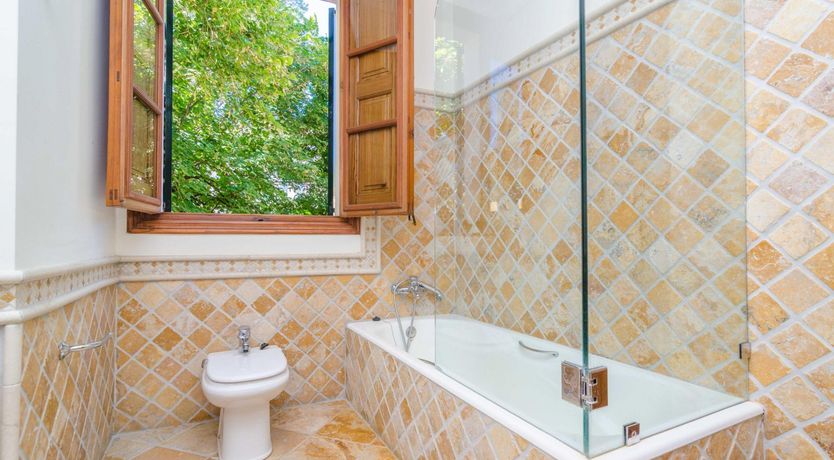 Photo of Palatial Dream