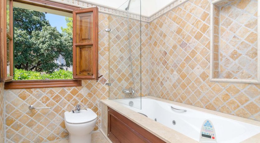 Photo of Palatial Dream