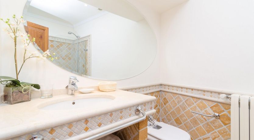 Photo of Palatial Dream