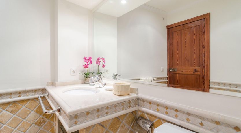 Photo of Palatial Dream