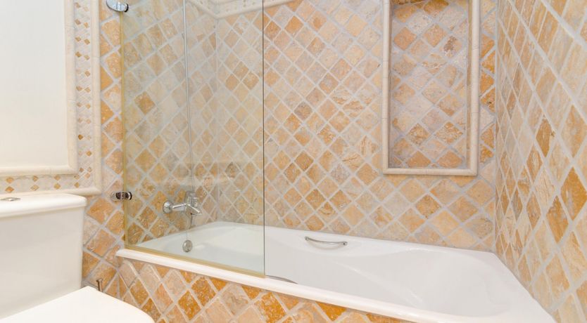 Photo of Palatial Dream