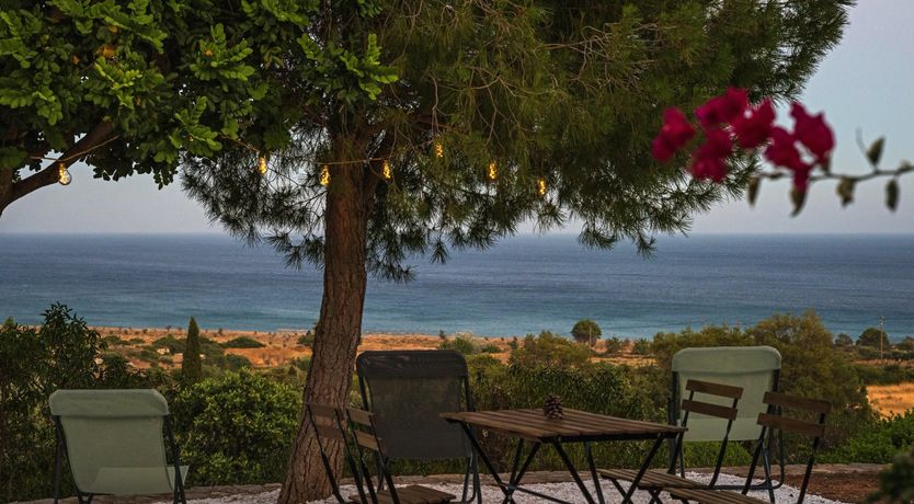 Photo of Sea Lavender