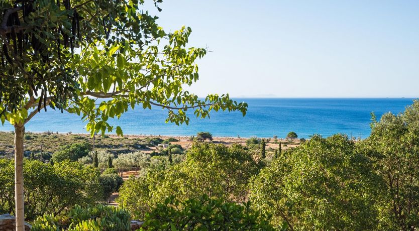 Photo of Sea Lavender