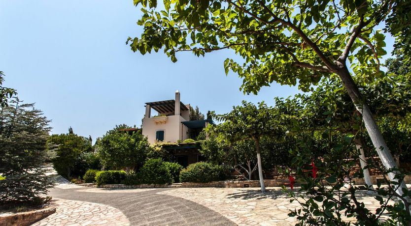 Photo of Sea Lavender