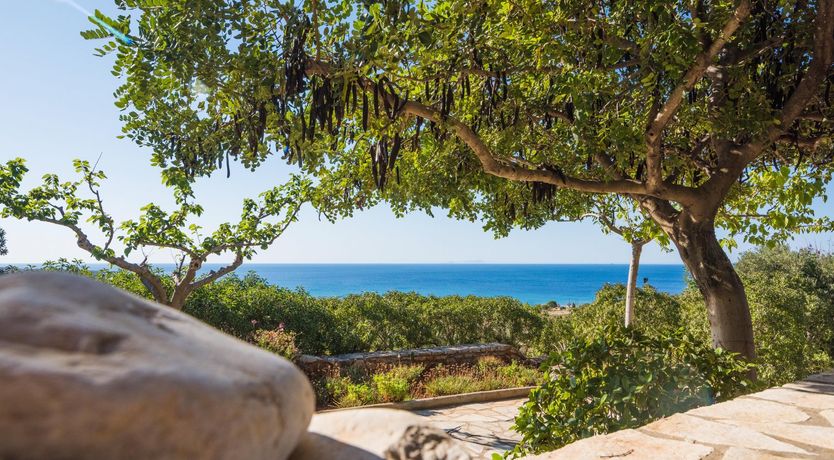 Photo of Sea Lavender