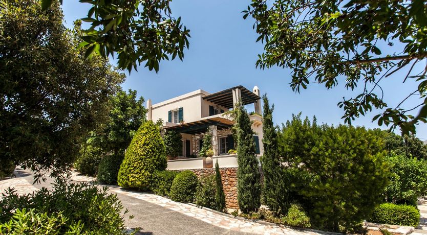 Photo of Sea Lavender