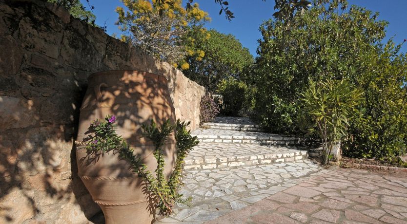 Photo of Sea Lavender