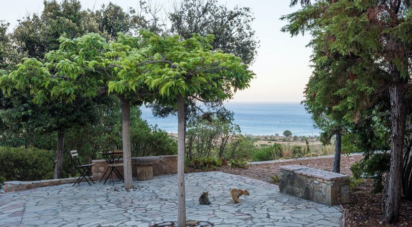 Photo of Sea Lavender