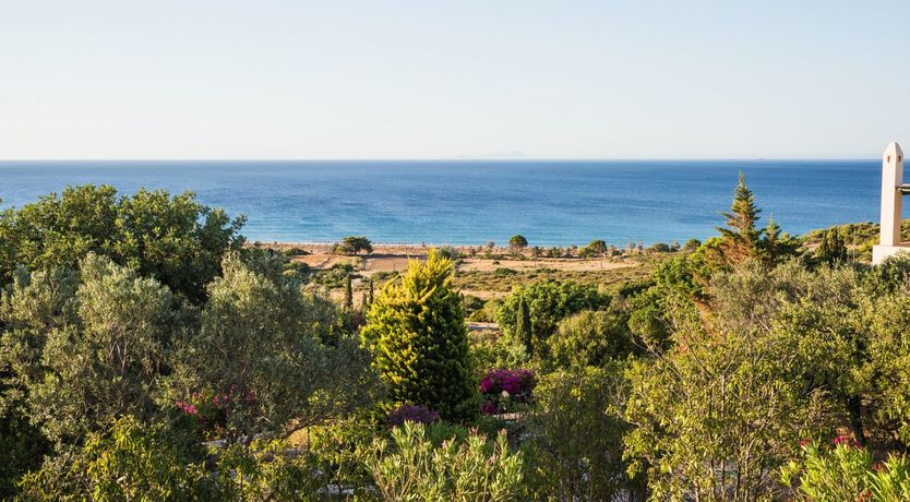 Photo of Sea Lavender