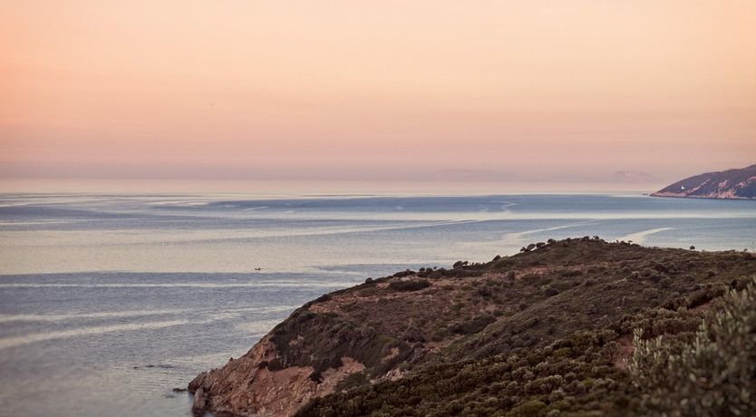 Photo of Bounty of Blossoms