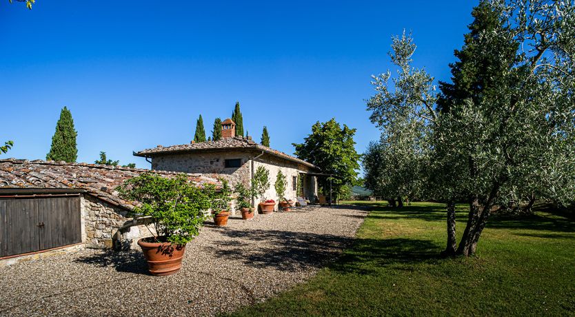 Photo of The Olive Stone