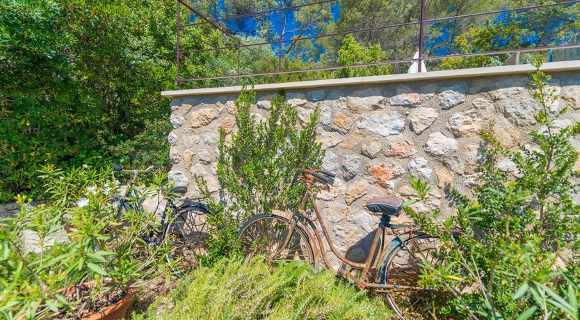 Photo of The Bike Shed