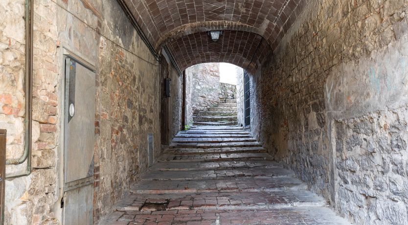 Photo of Cracked Black Pepper