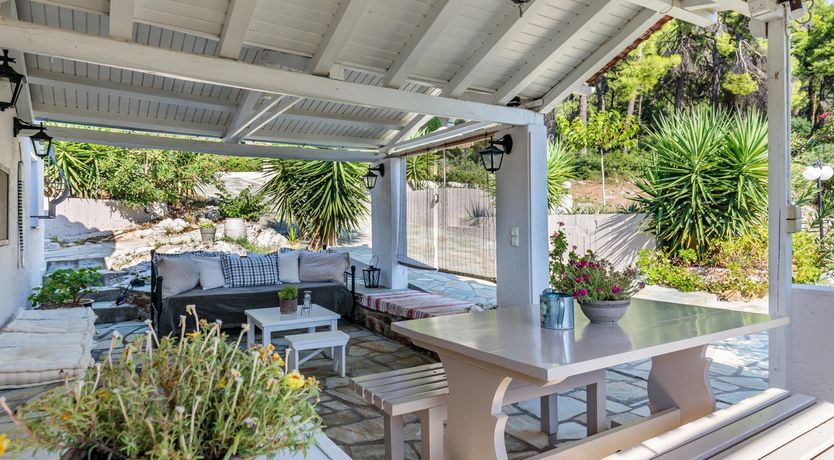 Photo of Fragrant Pine