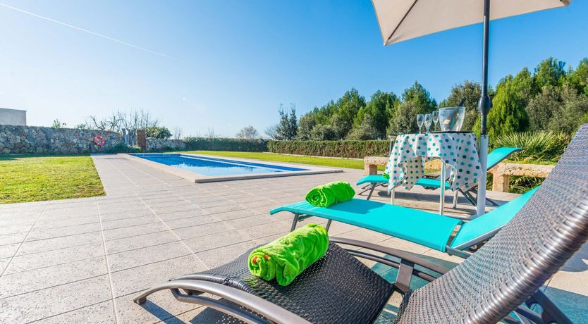 Photo of Summer Oranges