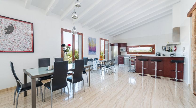 Photo of Summer Oranges