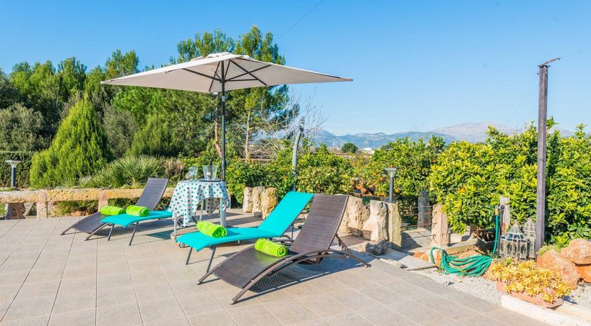 Photo of Summer Oranges