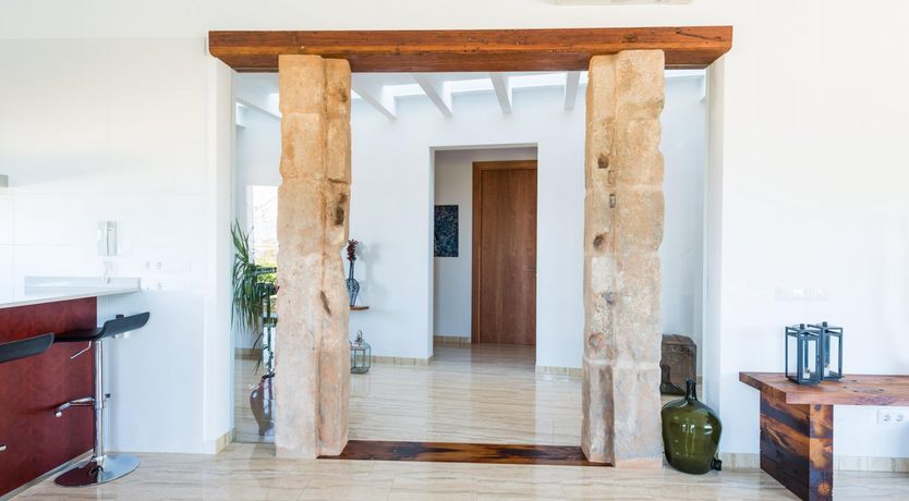 Photo of Summer Oranges