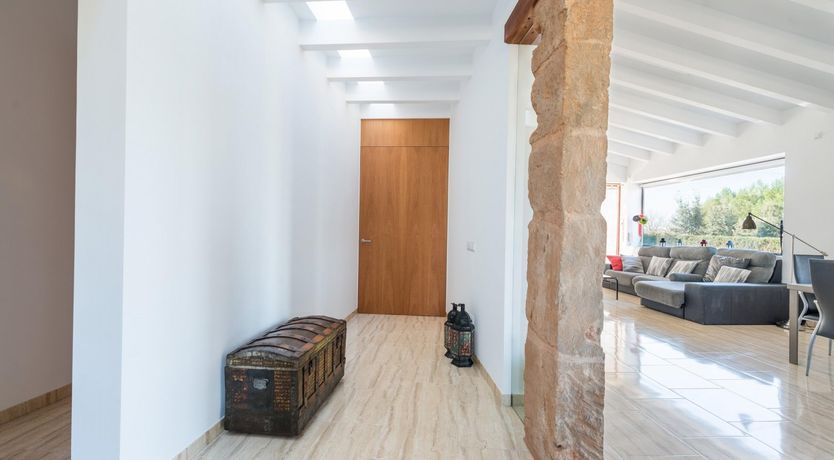 Photo of Summer Oranges