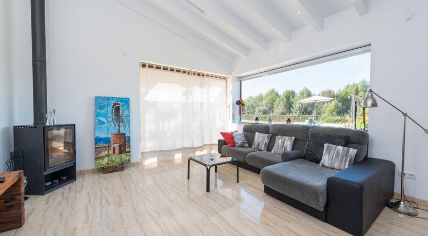 Photo of Summer Oranges