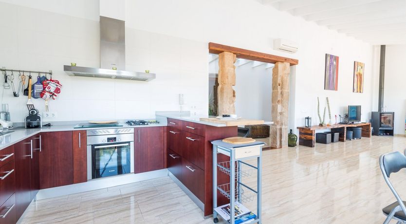 Photo of Summer Oranges