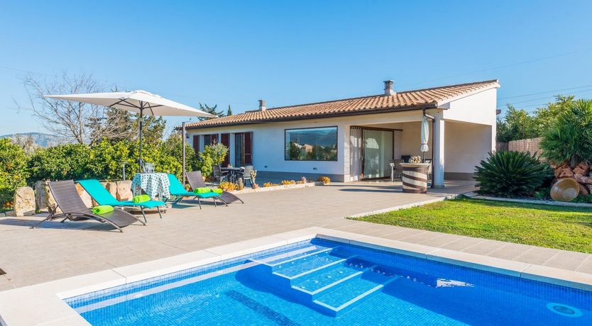 Photo of Summer Oranges