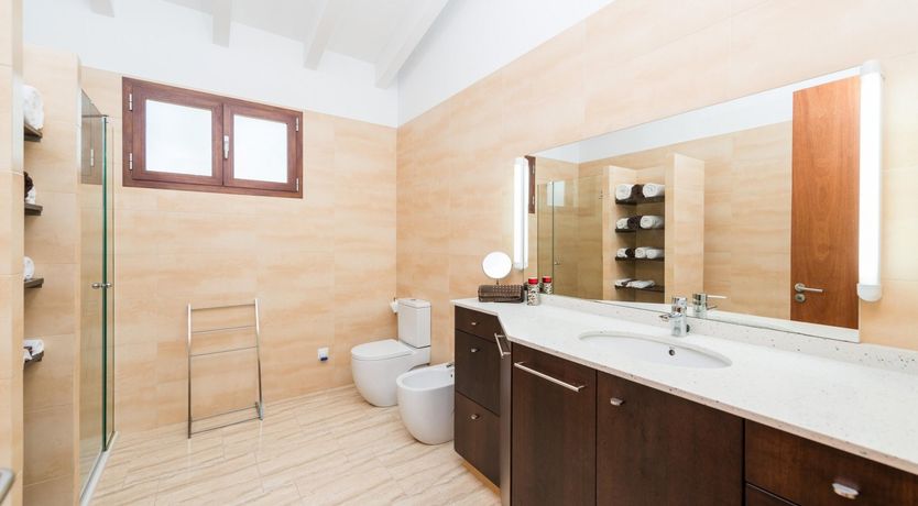 Photo of Summer Oranges