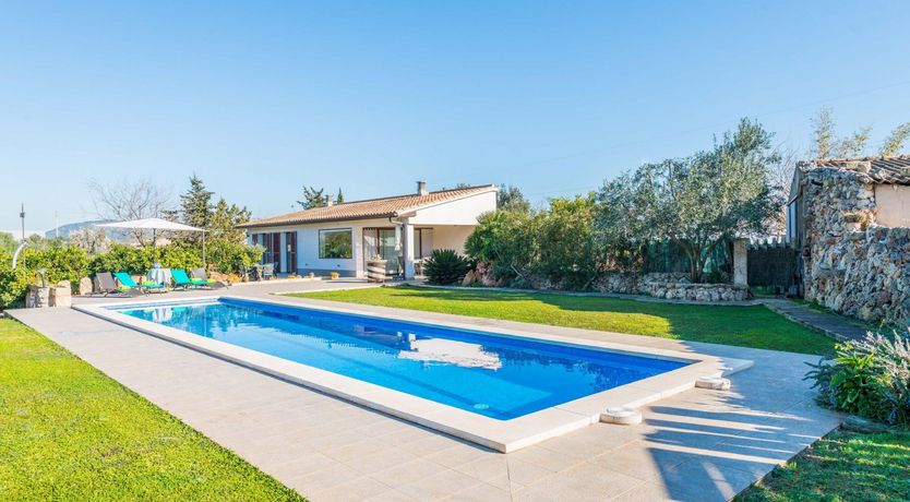 Photo of Summer Oranges