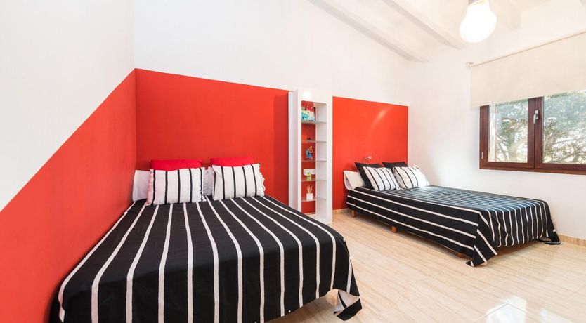 Photo of Summer Oranges