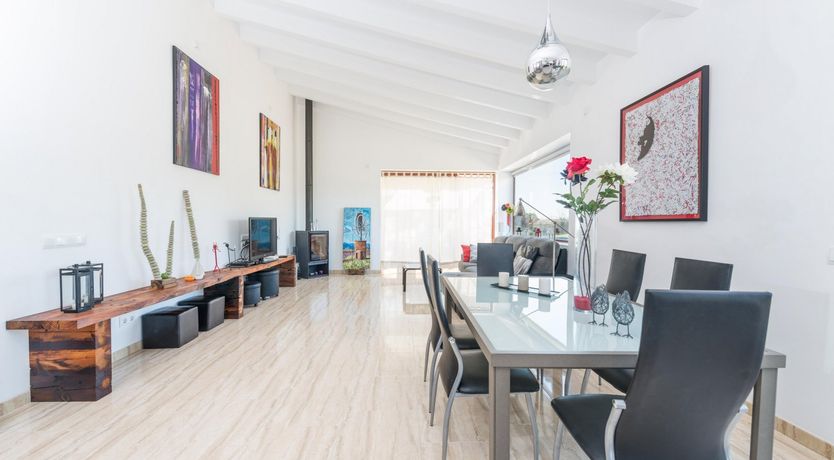 Photo of Summer Oranges