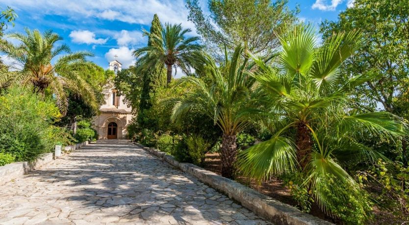 Photo of Summer Oranges