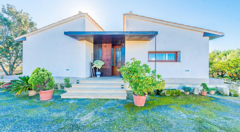 Photo of Summer Oranges