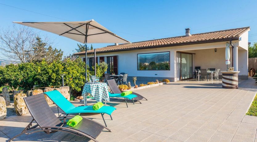 Photo of Summer Oranges